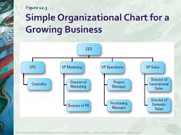 Ppt Designing An Entrepreneurial Organization Powerpoint