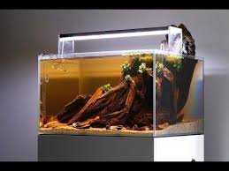 1.the fish highway bisa 24.mungkin terlihat seperti gambar, tapi itu nyata. Info Terbaru Tentang Model Aquarium Terbaru 2018 Format Jpg Rumah Central