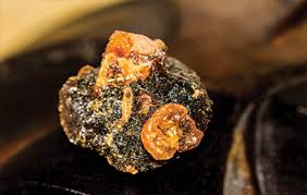 Image result for Commiphora tenuipetiolata