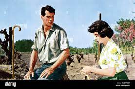 Rock Hudson Jean Simmons This Earth Is Mine 1959 Stock Photo Alamy