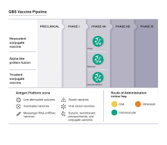 Image result for Group B Streptococcus Prophylaxis