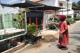 Maybe you would like to learn more about one of these? Belajar Dari Warga Glintung Bangun Kebun Pangan Di Tengah Kota Malang Mongabay Co Id Mongabay Co Id