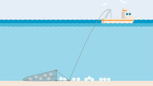 A wide variety of dredging equipment options are available to you, such as power type, local service location, and applicable industries. Dredge Fishing Gear Marine Stewardship Council Marine Stewardship Council