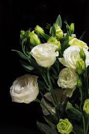 Modello di sfondo senza soluzione di continuità. Lisianthus Bianco Il Fiore Per Matrimonio Il Fiore Che Arreda Magazine Delle Donne