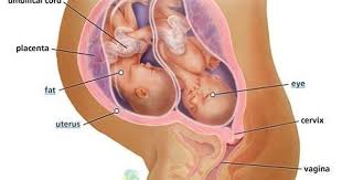 Pin On Medical Illustrations