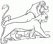 Download and print these simba and nala coloring pages for free. Grown Up Simba Coloring Pages