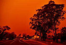 Director peter thorwarth gives us a slower burn tale (at least at first), and unlike what. Why West Coast Wildfires Are Turning The Skies Red Salon Com