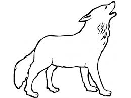 See more ideas about wolf drawing, wolf drawing easy, animal drawings. 15 Wolf Drawing Easy For Kids Visual Arts Ideas