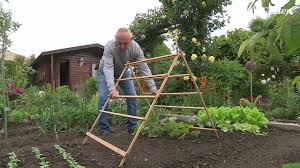 Das liegt wohl daran, dass die gurke sehr viele nährstoffe und humus … Idee Fur Den Gurken Anbau Ein Rankgerust Zum Klappen Mdr De