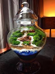 Modern Unique Moss Terrarium Ideas Succulent Terrarium Plant In Glass Moss Terrarium