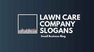 We did not find results for: Lawn Care Business Names And Slogans Rolling Greens Nursery