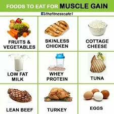 Foods For Muscle Gain Food To Gain Muscle Workout Food Post Workout Food