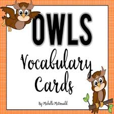 Owl Vocabulary Cards Pocket Chart Terms