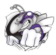 Image result for hazen high school arkansas