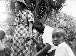 Zora Neale Hurston's short stories a rich look at black lives