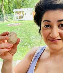 Looking for 2 to 4 leghorns hens and a roo