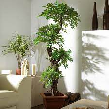 explore the world of artificial plants vogue plants video plant decor indoor plants artificial plants outdoor