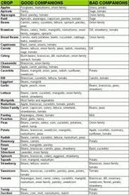 Herbs Table Chart Pdf Herbs Companion Planting Chart