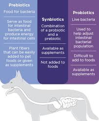 Prebiotics and Probiotics for Dogs and Cats | Today's Veterinary Nurse