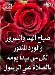اللهم صلي على الحبيب المصطفى rose flowers plants