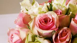 You can get our greens but unfortunately can't redeem a. How To Arrange Roses Like A Professional Florist Rose Arranging Tutorial Video