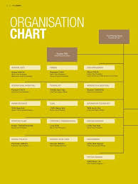 Organisation Chart Singapore Technologies Engineering
