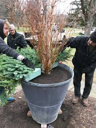 Assemble your designs early enough that the plants have time to acclimate to their new pots before the hard freeze. 24 Colorful Outdoor Planters For Winter Christmas Decorations A Piece Of Rainbow
