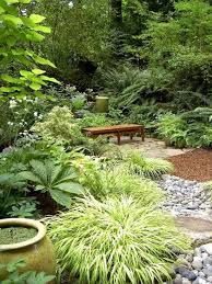 Green grass and z 29.97 kl./s. Shade Path Japanese Forest Grass Gardening Shade Garden Design Japanese Garden Landscape Shade Garden