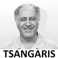 Michele Tsangaris for Council