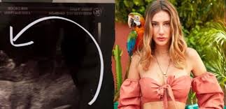 Şeyma subaşı hamile, hem de üç aylık iddiası ortaya atılmıştı. Ultrason Fotografini Paylasan Seyma Subasi Sasirtti