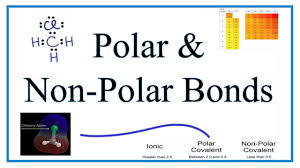 When i was learning about polar/nonpolar, i learned that polar is a structure with dipole moment so if a structure is symmetrical such as ch4, all the dipole moment cancel each other, and thus have no net. Is Ch4 Methane Polar Or Nonpolar Youtube