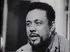 I am Charles Mingus, half black man, not even white enough to pass for  nothing but black. I am Charles Mingus, a famed jazzman, but not famed  enough to make a living