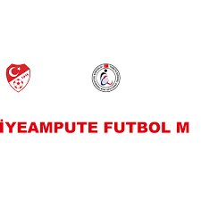 Colin mcrae dirt 2 4. Wrc Rally Turkey Logo Download Logo Icon Png Svg