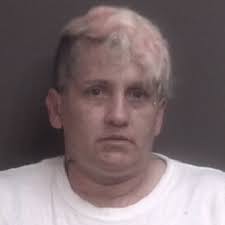 Columbia woman accused of leaving handbag filled with narcotics at gas  station