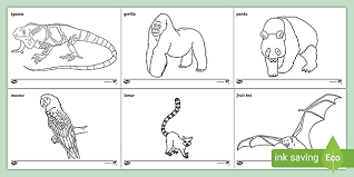 Maybe you would like to learn more about one of these? Tropical Rainforest Animals Colouring Pages