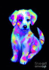 Painted Pup 2 By Nick Gustafson Cute Animal Photos Rainbow Dog Animals Beautiful