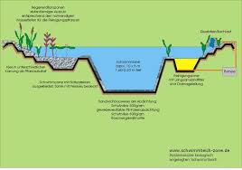 Natural Swimming Pond Design Google Search Bể Bơi Kiến Truc Hồ Bơi