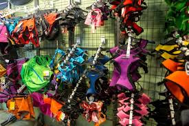 52567 columbia river hwy scappoose or 97056. All About Pets 20 Photos 27 Reviews Pet Services 52567 Columbia River Hwy Scappoose Or Phone Number Services