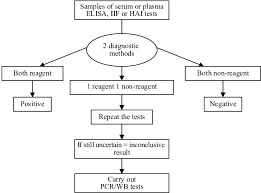 Flow Chart Of Serological Diagnosis For The Detection