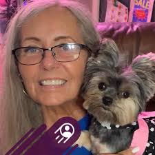 What kind of spider is this?