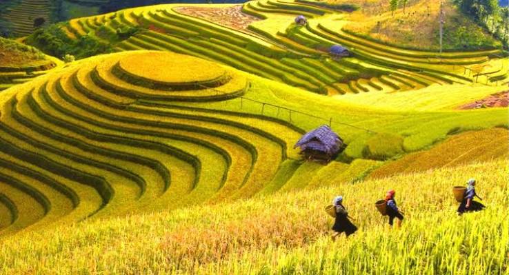 Bản đồ du lịch Mai Châu siêu chi tiết đầy đủ từ A-Z | Phuotvivu