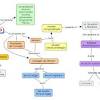 Governo da wikipedia, l'enciclopedia libera. Https Encrypted Tbn0 Gstatic Com Images Q Tbn And9gcshwba9foij5sclai181fqz Vfhlc7n2ns6qk27w4xnfcqkvlv9 Usqp Cau