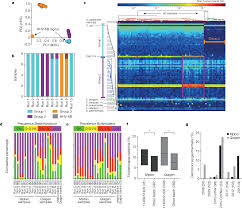 Human Placenta Has No Microbiome But Can Contain Potential