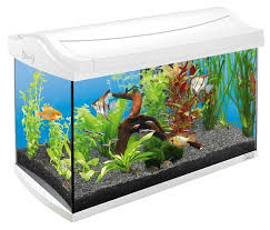 Tetra Aquaart 60 L Led Cam Akvaryum Akvaryum Ve Fanuslar Tetra