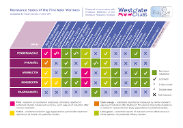 Horse Worming Schedule Examples And Forms