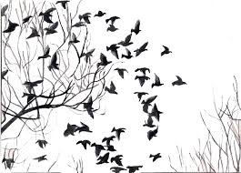 Bird Flocks Illustrasyonlar Dovme Fikirleri