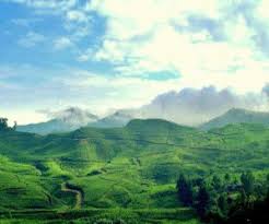 Menurut saya, pemandangan dari puncak gunung talang lebih superior dan spektakuler saat cuaca cerah, seperti hari minggu (9/10/2016) pagi, pemandangan di sekeliling puncak gunung. Indah Nya Menikmati Pemandangan Di Taman Riung Gunung Indonesia Tourism Indonesia Travel Travel