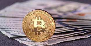 How To Start A Bitcoin Investment Firm Is Bitcoin Money Real The 2nd Icfaes 6th Annual Conference Of The Asian Society Of Ichthyologist