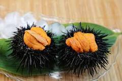 Image result for Uni sushi