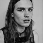 Email Address of @wafflenoah Instagram Influencer Profile